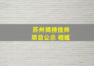 苏州揭榜挂帅项目公示 相城